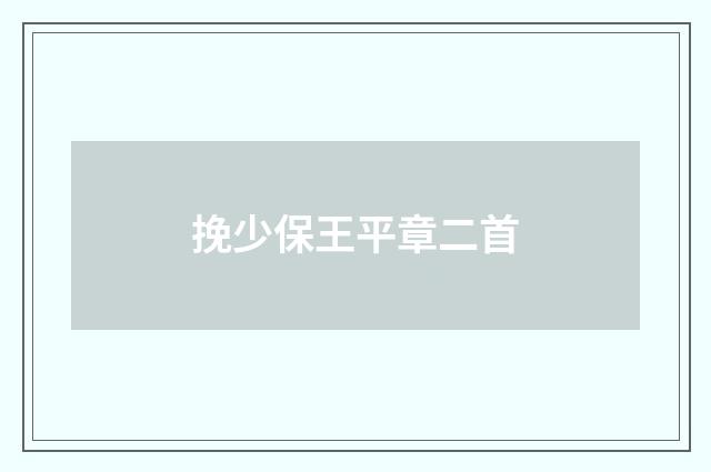 挽少保王平章二首