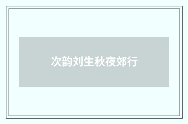 次韵刘生秋夜郊行