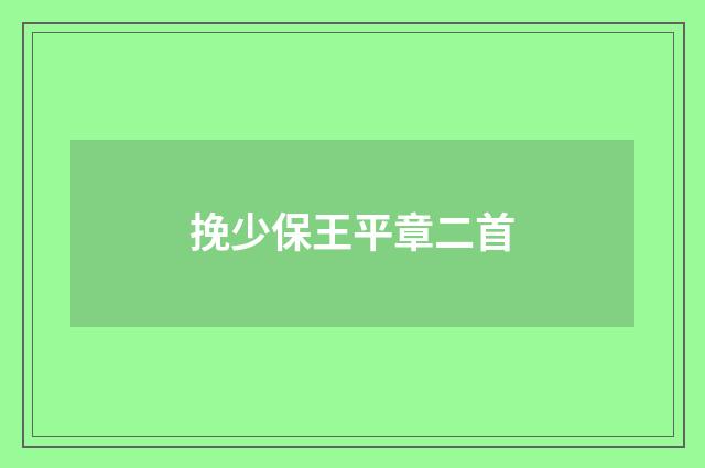 挽少保王平章二首