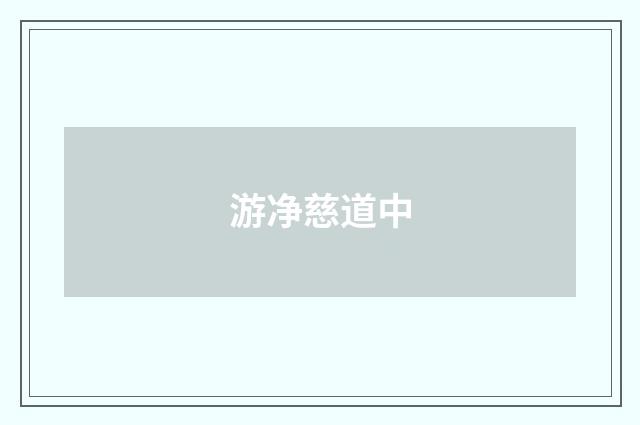 游净慈道中