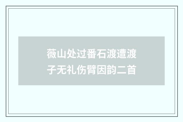 薇山处过番石渡遭渡子无礼伤臂因韵二首