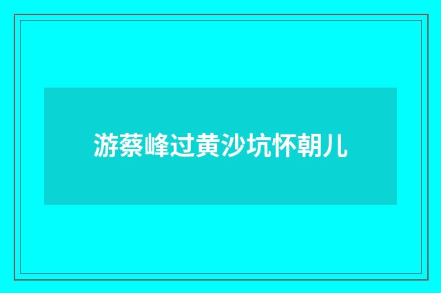 游蔡峰过黄沙坑怀朝儿
