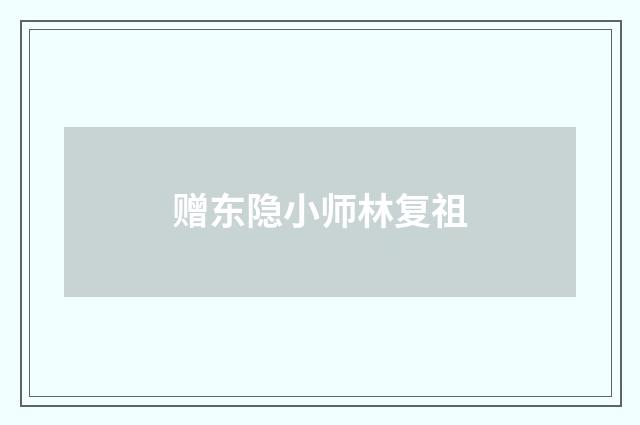 赠东隐小师林复祖