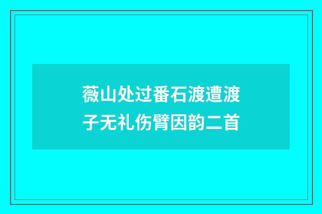 薇山处过番石渡遭渡子无礼伤臂因韵二首