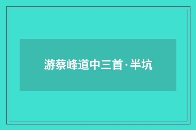 游蔡峰道中三首·半坑