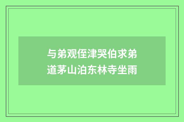 与弟观侄津哭伯求弟道茅山泊东林寺坐雨