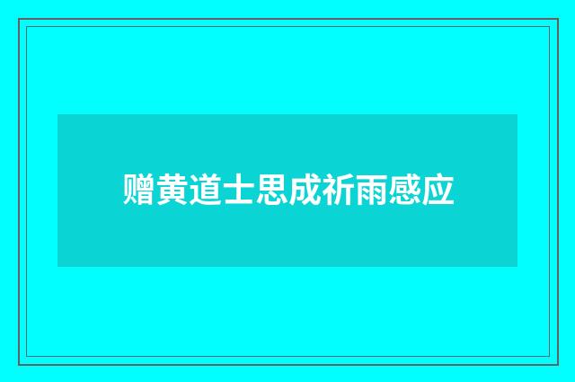 赠黄道士思成祈雨感应
