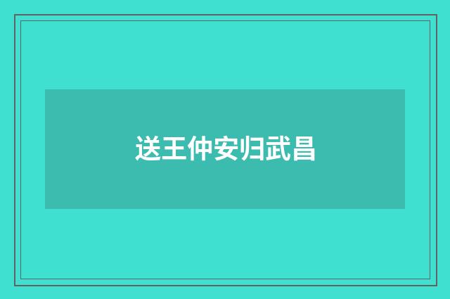 送王仲安归武昌