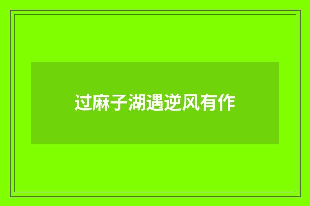 过麻子湖遇逆风有作