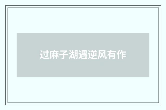 过麻子湖遇逆风有作