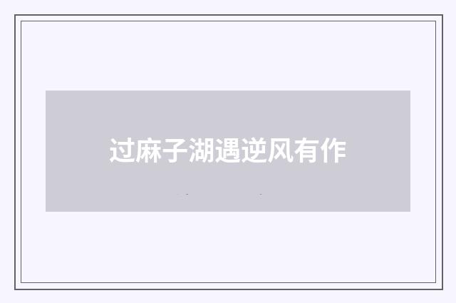 过麻子湖遇逆风有作