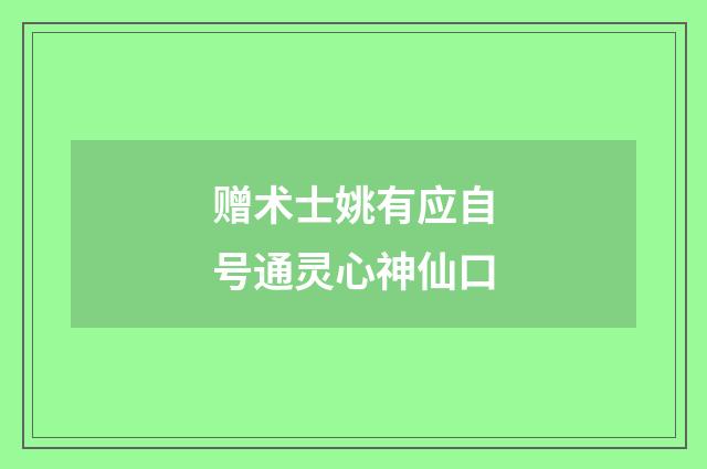 赠术士姚有应自号通灵心神仙口