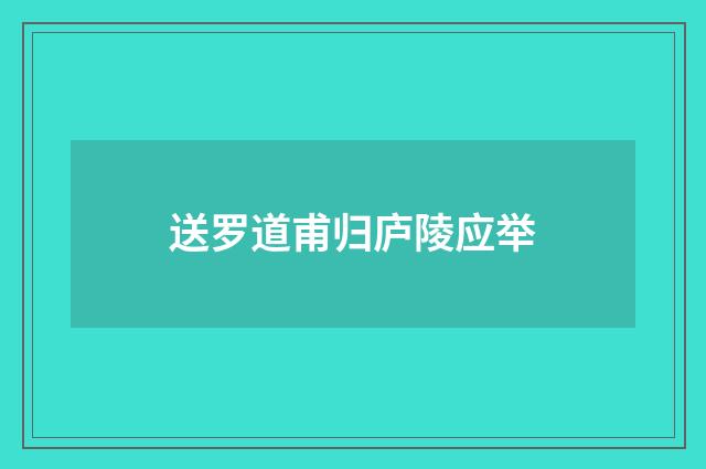 送罗道甫归庐陵应举