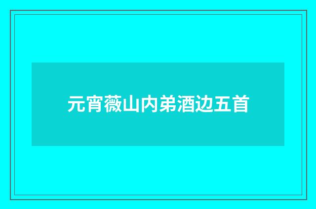 元宵薇山内弟酒边五首