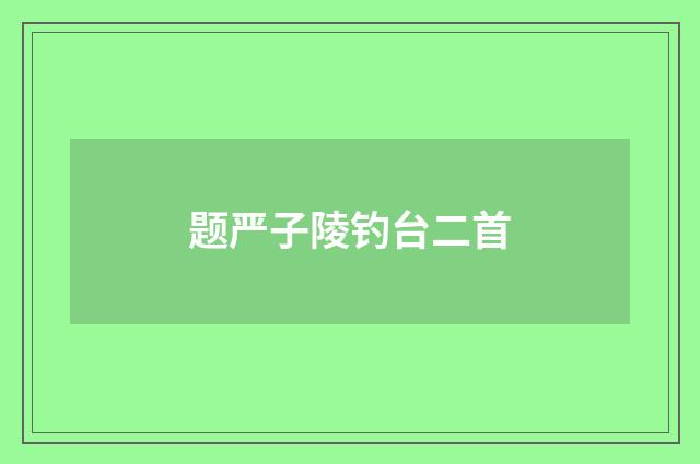 题严子陵钓台二首