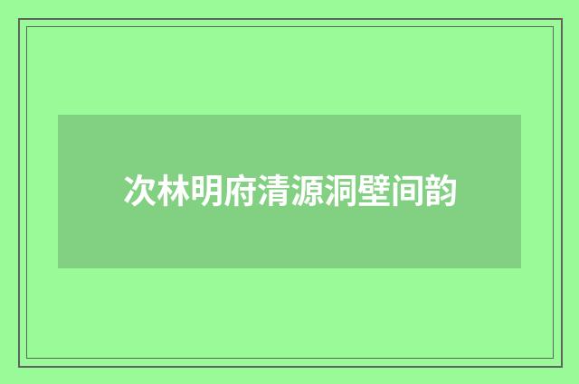 次林明府清源洞壁间韵