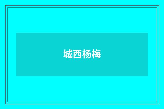 城西杨梅