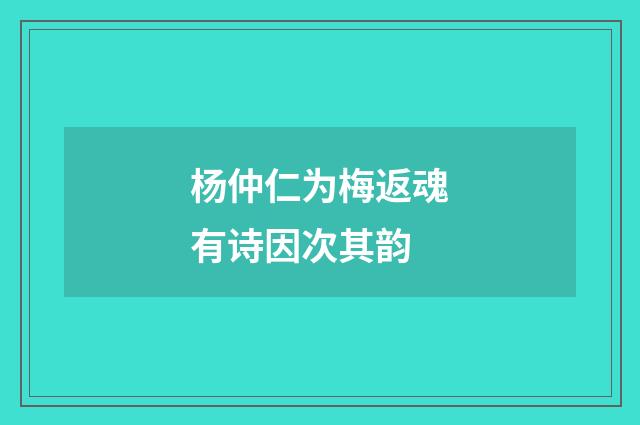 杨仲仁为梅返魂有诗因次其韵