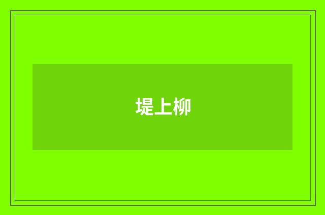 堤上柳