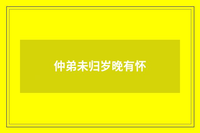 仲弟未归岁晚有怀