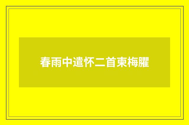 春雨中遣怀二首柬梅臞
