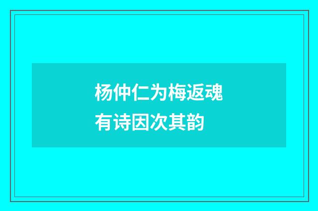 杨仲仁为梅返魂有诗因次其韵