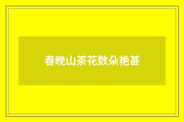 春晚山茶花数朵艳甚