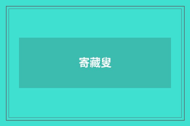 寄藏叟