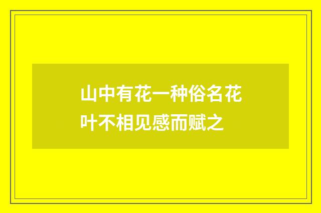 山中有花一种俗名花叶不相见感而赋之