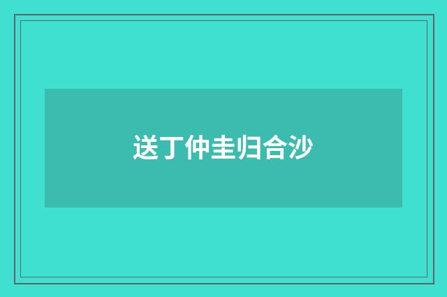 送丁仲圭归合沙