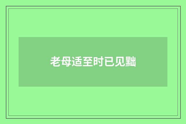 老母适至时已见黜