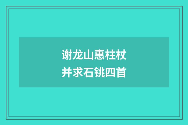 谢龙山惠柱杖并求石铫四首