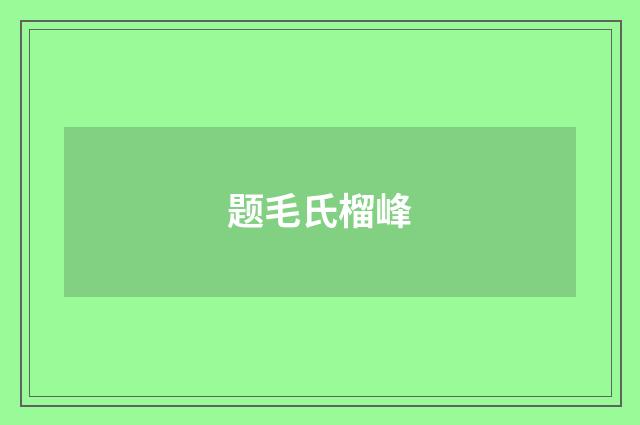 题毛氏榴峰