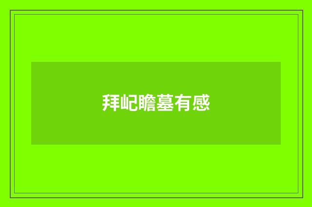 拜屺瞻墓有感