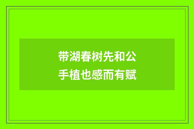 带湖春树先和公手植也感而有赋