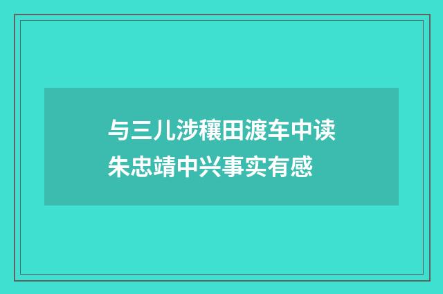 与三儿涉穰田渡车中读朱忠靖中兴事实有感