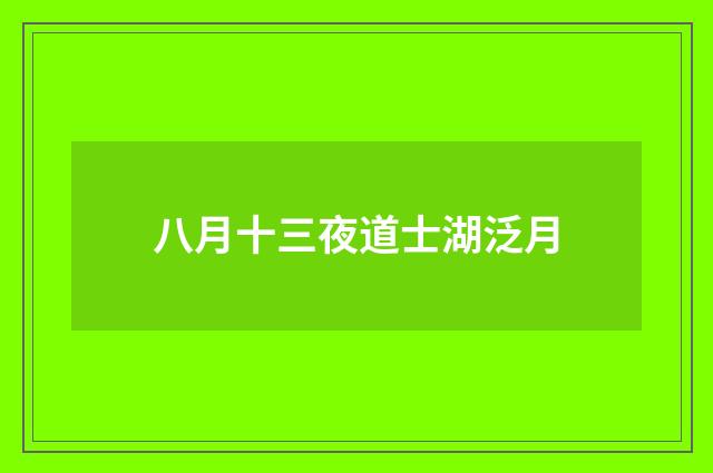 八月十三夜道士湖泛月