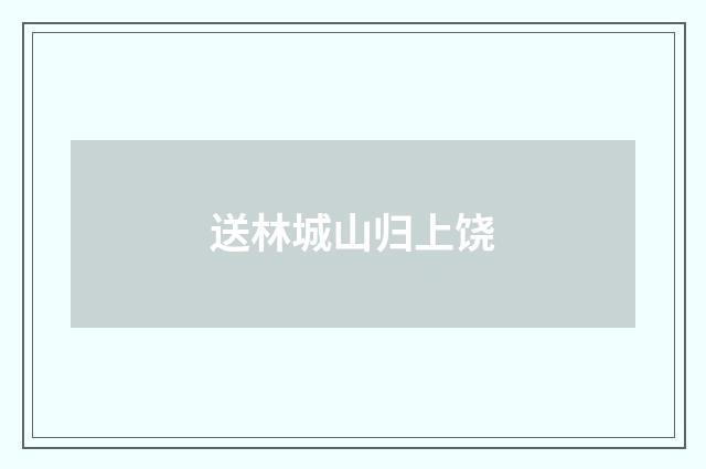 送林城山归上饶