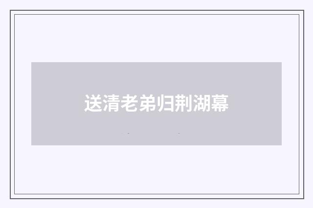送清老弟归荆湖幕