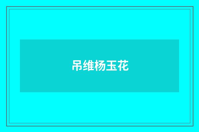 吊维杨玉花