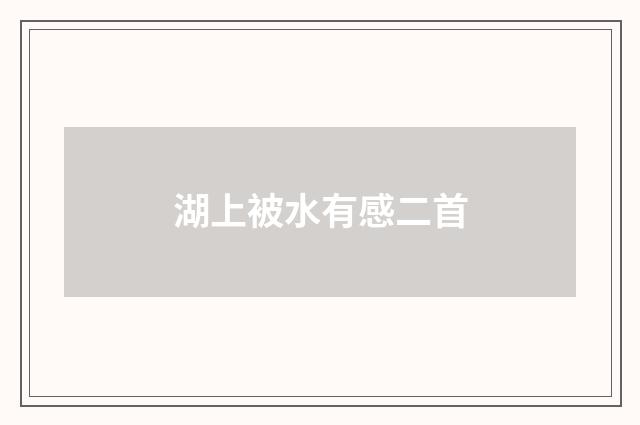 湖上被水有感二首