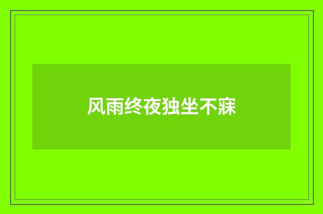 风雨终夜独坐不寐