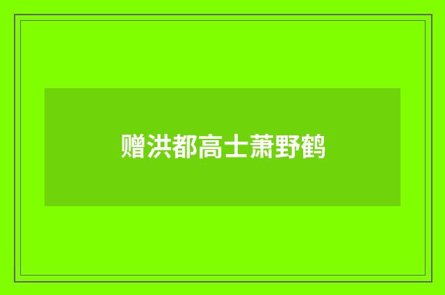 赠洪都高士萧野鹤