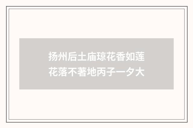 扬州后土庙琼花香如莲花落不著地丙子一夕大