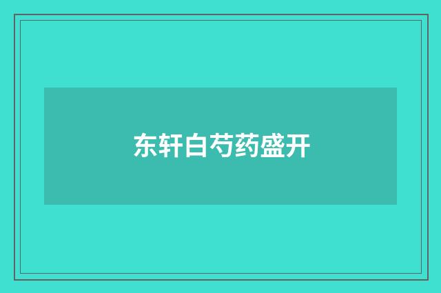 东轩白芍药盛开