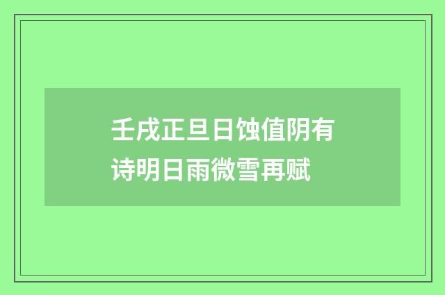 壬戌正旦日蚀值阴有诗明日雨微雪再赋