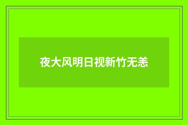 夜大风明日视新竹无恙