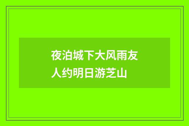 夜泊城下大风雨友人约明日游芝山