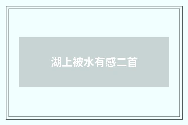 湖上被水有感二首