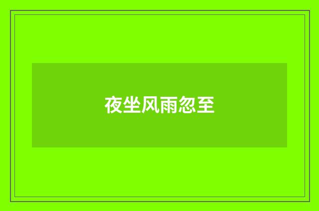 夜坐风雨忽至